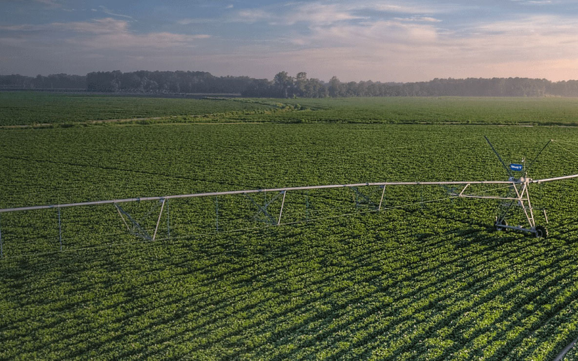 Irrigation